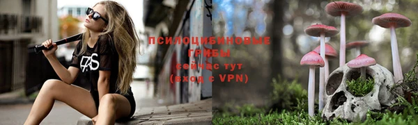 мдпв Кинешма