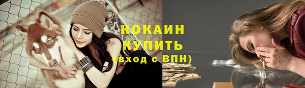 мдпв Кинешма