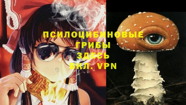 мдпв Кинешма