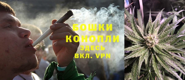 мдпв Кинешма