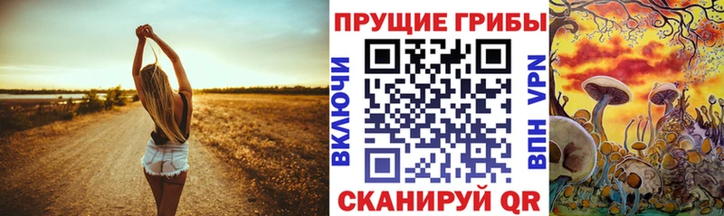 Купить закладки  Зверево  Галлюциногенные грибы мухоморы 