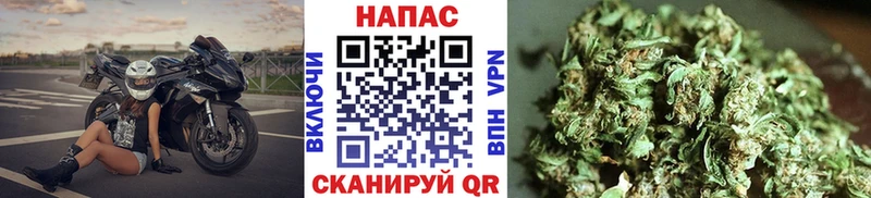 Купить где Зверево Марихуана OG Kush
